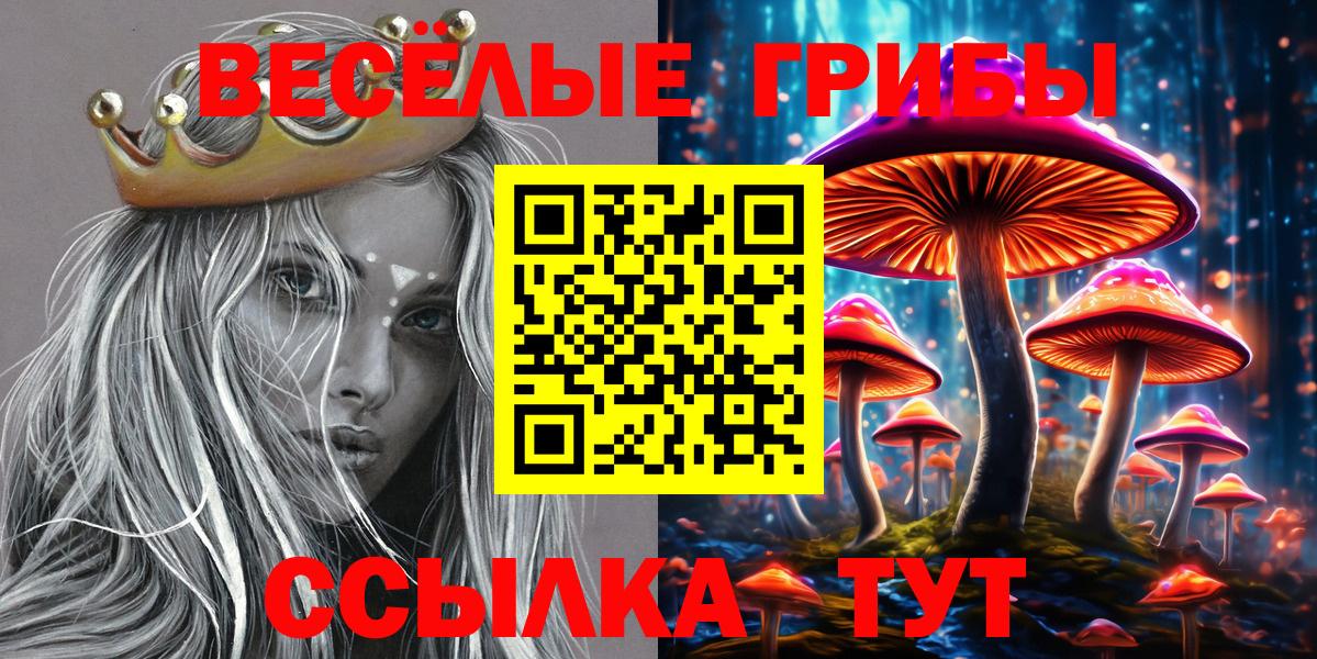 Псилоцибиновые грибы ЛСД  Псилоцибиновые грибы мицелий  Рузаевка  цены   Вход с VPN 